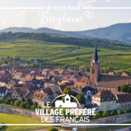 贝尔盖姆Vue Splendide Au Coeur Des Vignes公寓 外观 照片