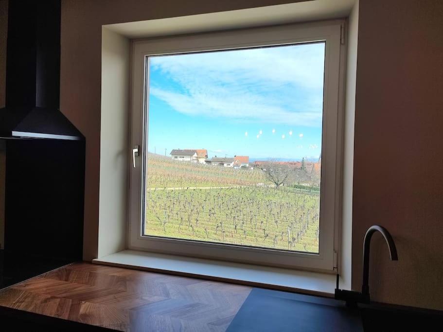 贝尔盖姆Vue Splendide Au Coeur Des Vignes公寓 外观 照片